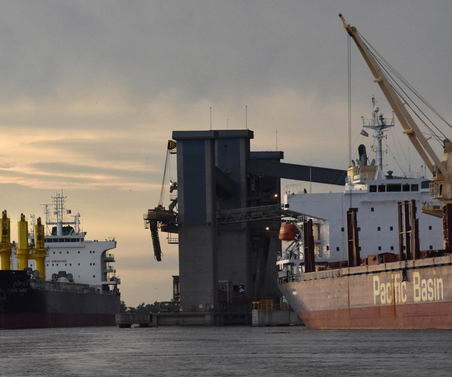 Exportación de granos y aceites: en un año se duplicaron los precios de los fletes marítimos