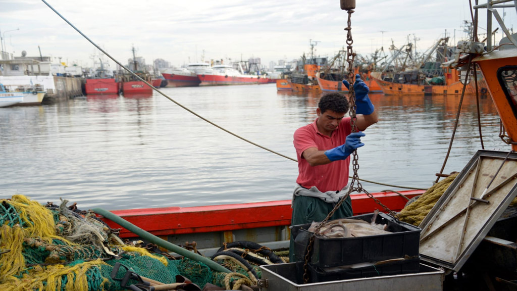 El gobierno disminuyó los derechos de exportación para productos pesqueros