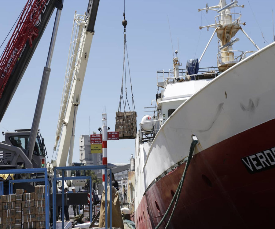 El puerto de Bahía Blanca duplica las descargas de pescado