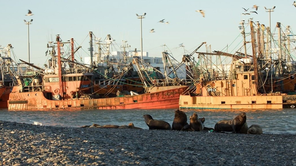 La actividad pesquera en Rawson genera unos 10 mil empleos directos e indirectos