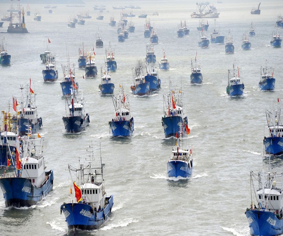 ¿Alguien puede detener a  la flota  pesquera china que arrasa los mares violando todas las reglas?