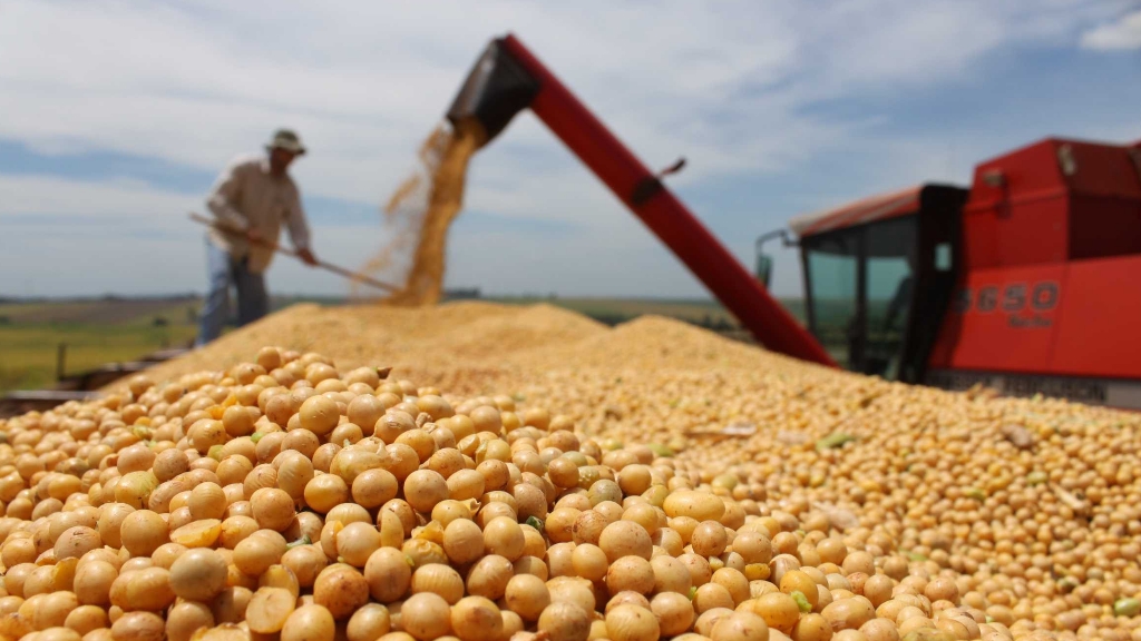 La soja marcó el rumbo de las exportaciones durante el año pasado