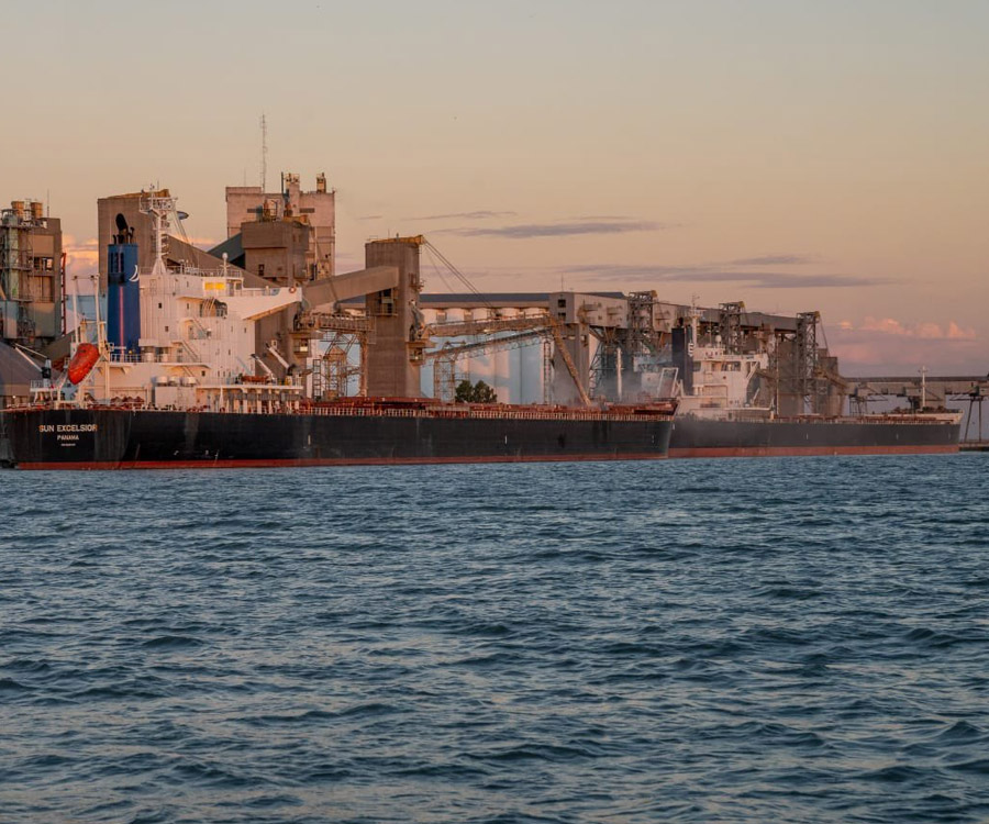 Descargaron 327.855 toneladas de granos en el puerto de Bahía Blanca