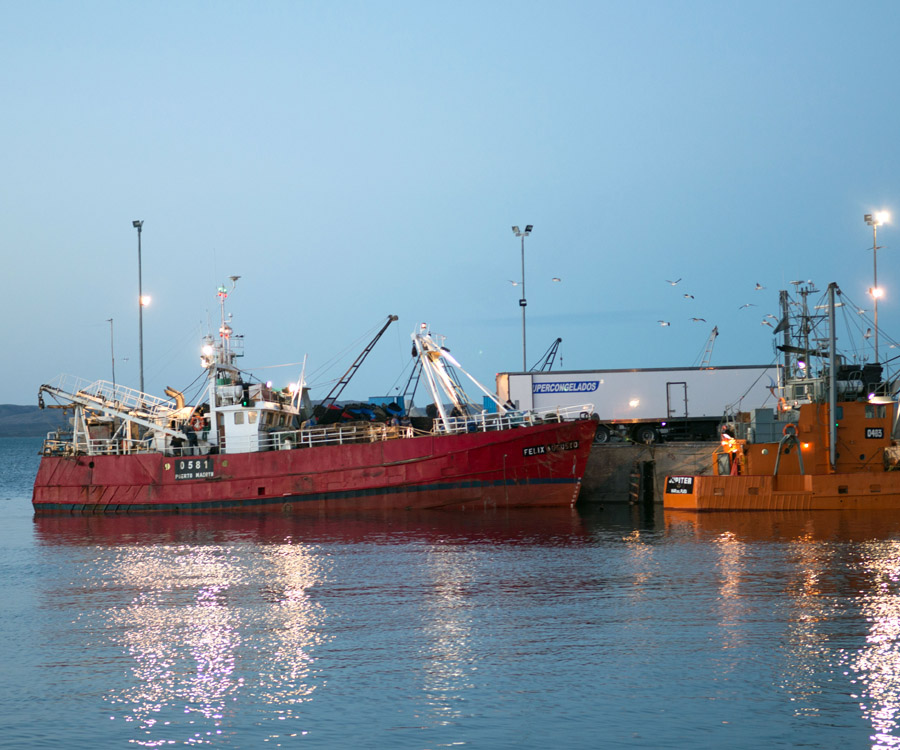 Crece el conflicto entre Mar del Plata y Chubut por la zafra del langostino