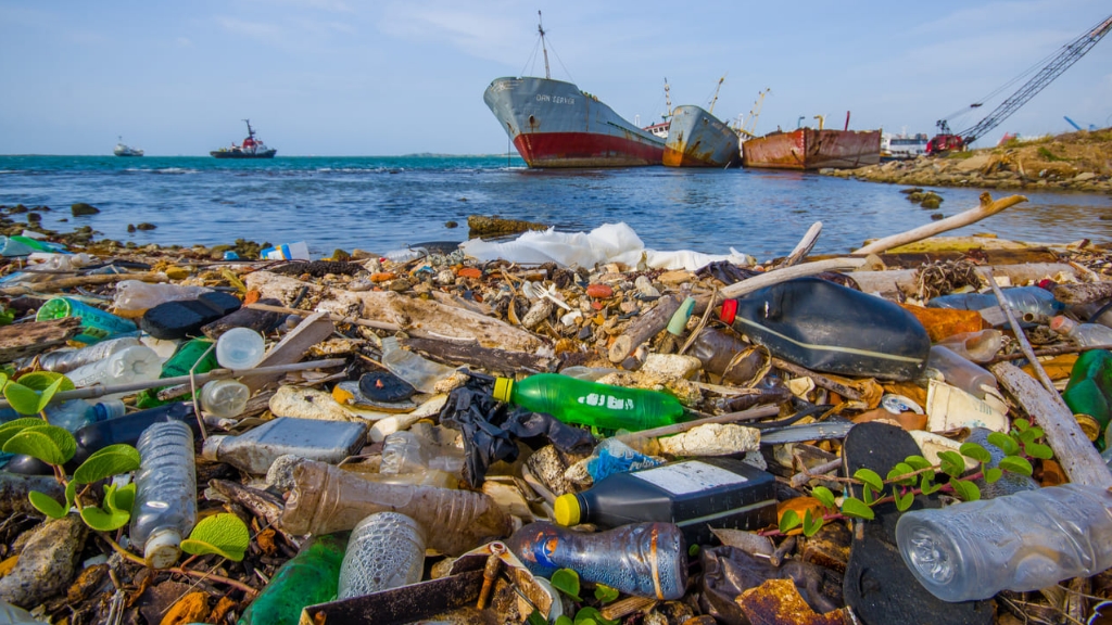 "Los océanos están en emergencia por la contaminación", afirma la ONU