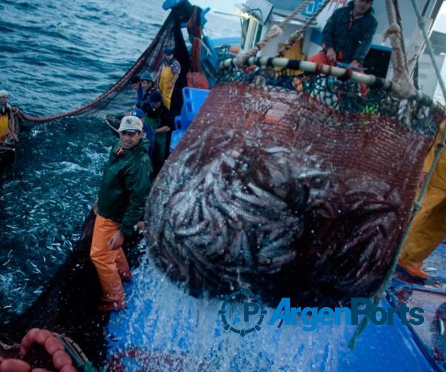 Prohíben la pesca de merluza en el frente marítimo argentino-uruguayo