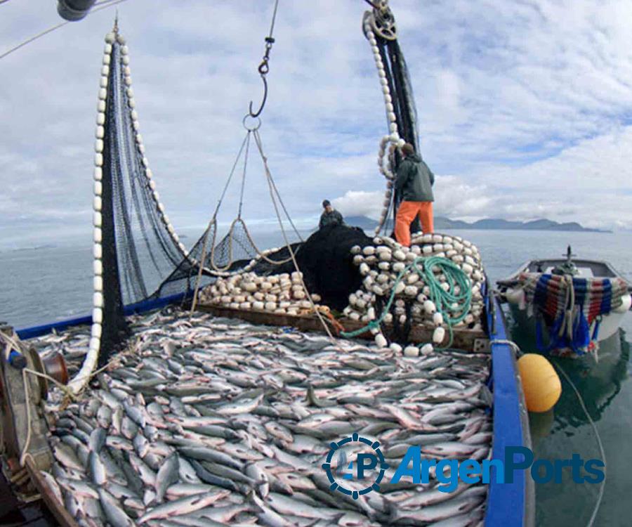 La captura total permisible de merluza para 2023 será de 70.000 toneladas