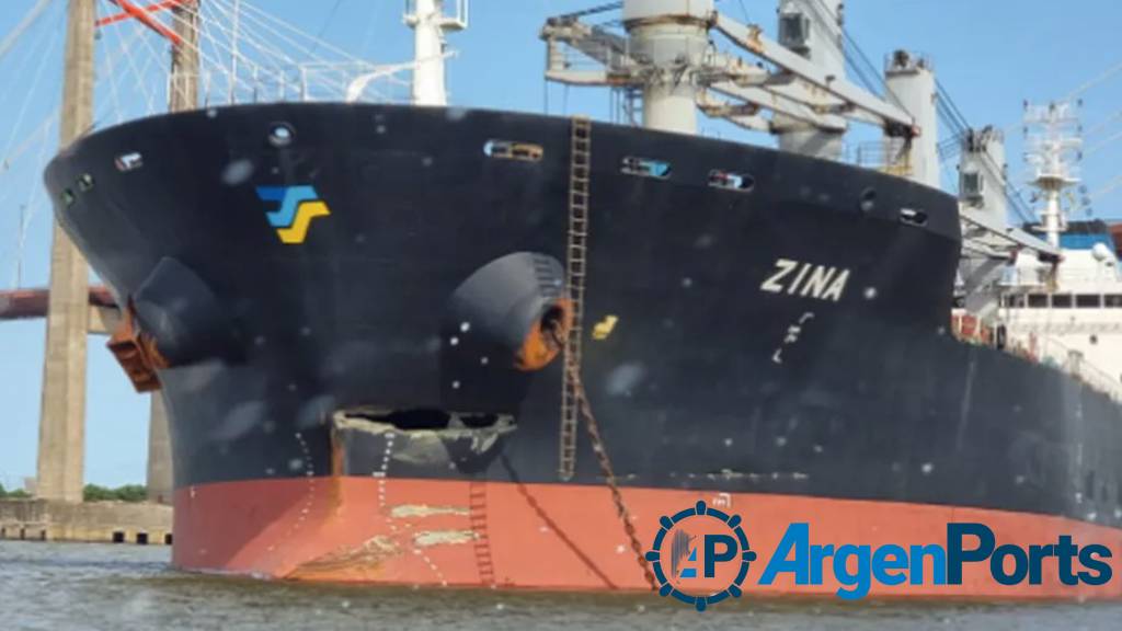 Video: un bulk carrier embistió el puente Zárate Brazo Largo y lo hizo temblar
