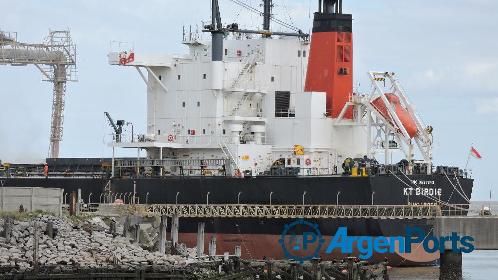 Bahía Blanca: se exportaron 13,05 millones de toneladas de cereales, oleaginosas y derivados