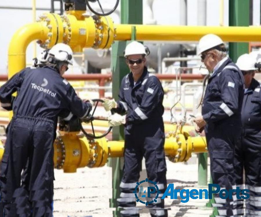 GNL: Tecpetrol propuso a otras empresas la construcción de un gasoducto para exportar