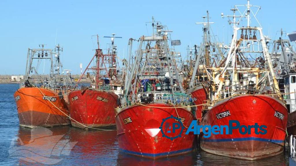 Preocupación por la escasez de desembarcos en el puerto de Mar del Plata