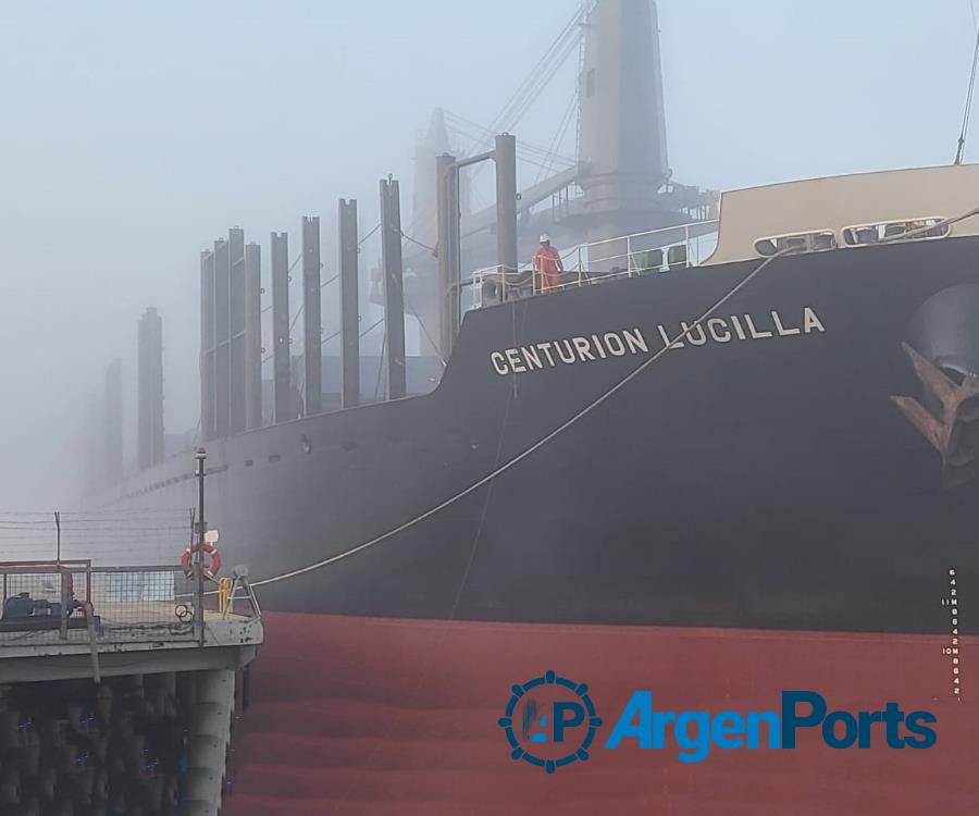 Puerto Ubicuy: el buque Centurión Lucilla amarró para cargar troncos
