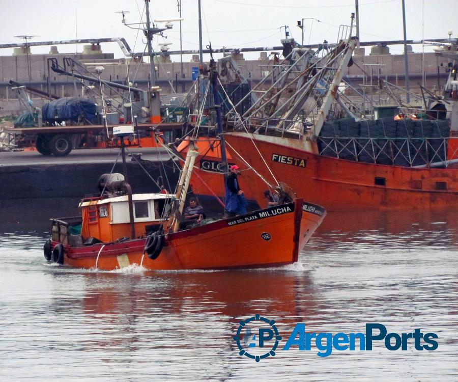 Mar del Plata: el ritmo de la actividad pesquera está siendo “aceptable”