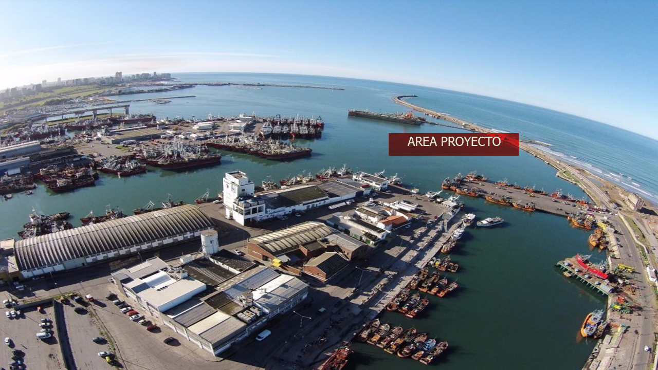 Mar del Plata: el gobierno nacional anunció la construcción de un espigón para pesqueros