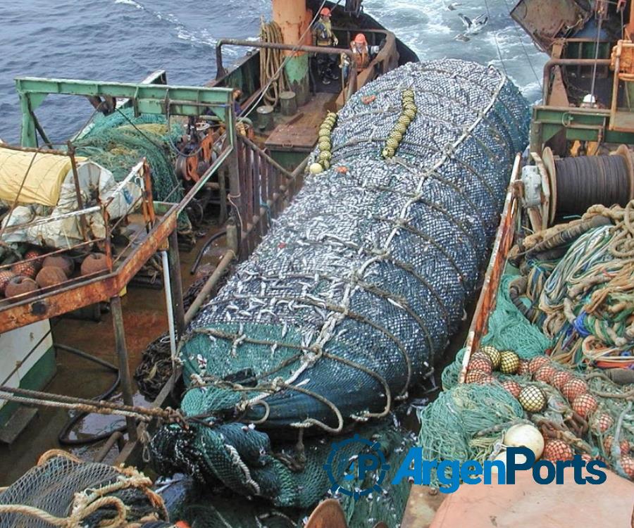 Actualizaron los aranceles de extracción para la industria pesquera