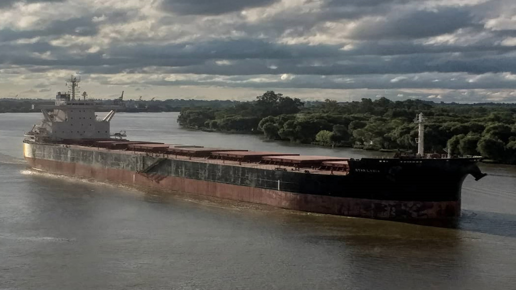 Pese a la pandemia, apenas cayeron un 6 por ciento los embarques argentinos de granos