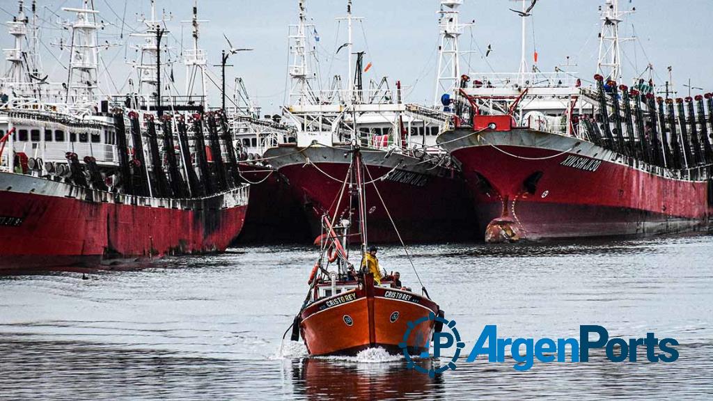 Mar del Plata: culpan a Prefectura por los barcos parados en el puerto