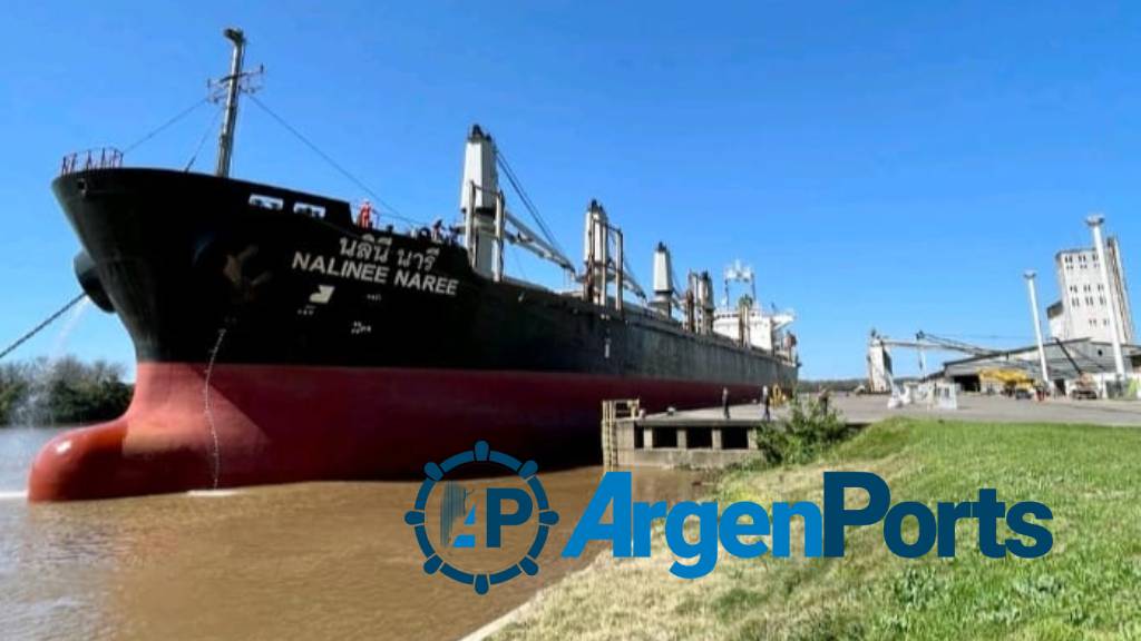En fotos: no se detienen las exportaciones de madera por Concepción del Uruguay