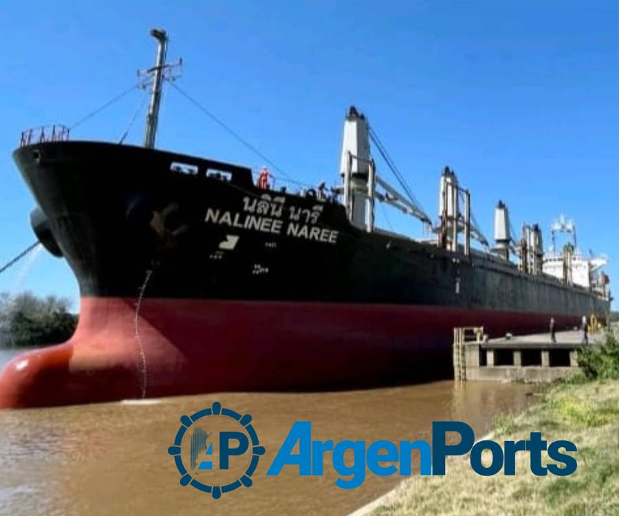 En fotos: no se detienen las exportaciones de madera por Concepción del Uruguay