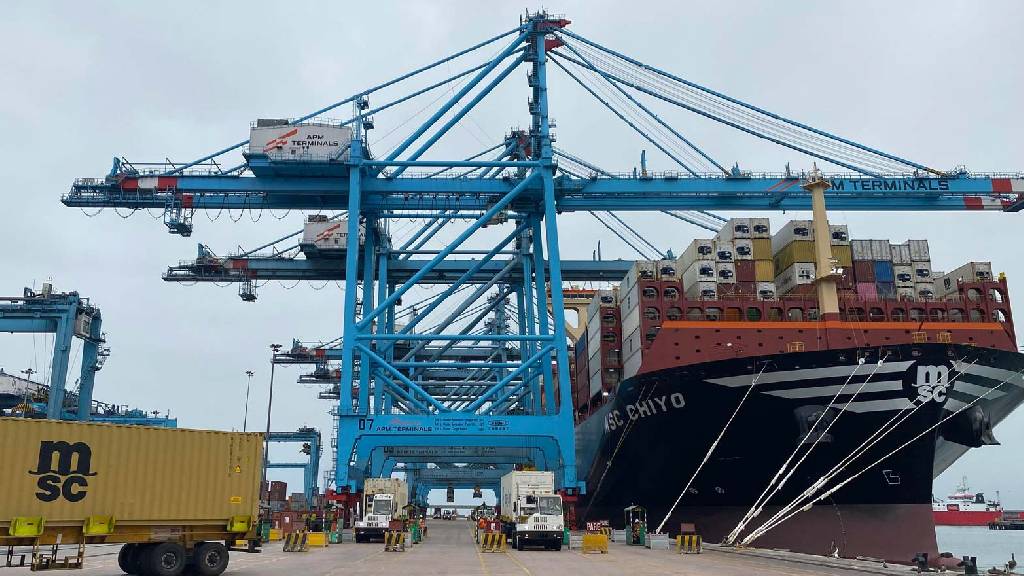 Los grandes barcos portacontenedores están llegando a América Latina