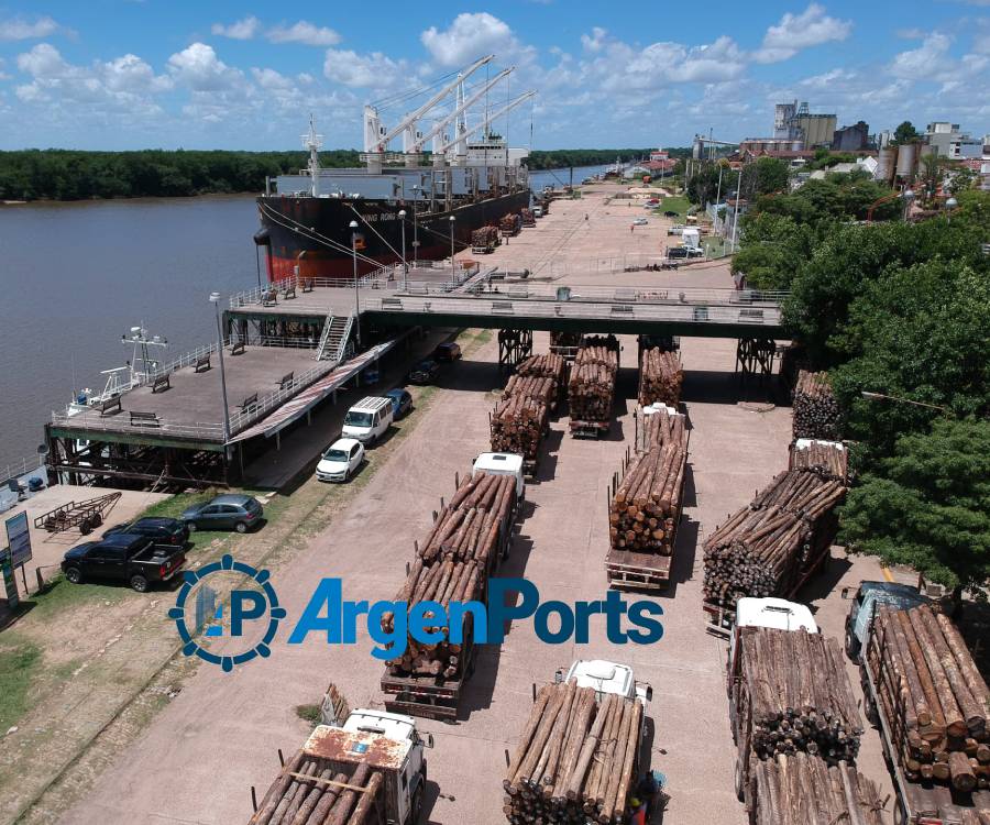 Siguen sin pausa los embarques de madera en Concepción del Uruguay