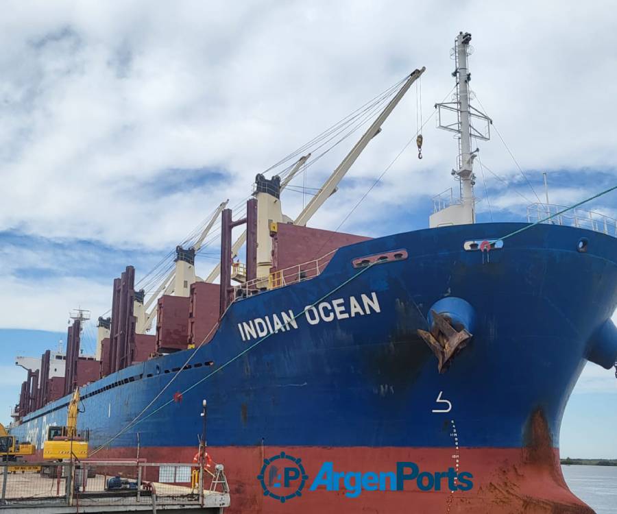 Siguen sin pausa las exportaciones de madera desde Puerto Ibicuy