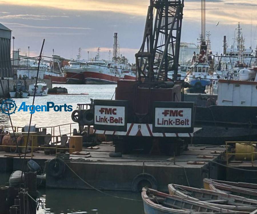 Siguen creciendo las descargas de pescado en el puerto de Bahía Blanca