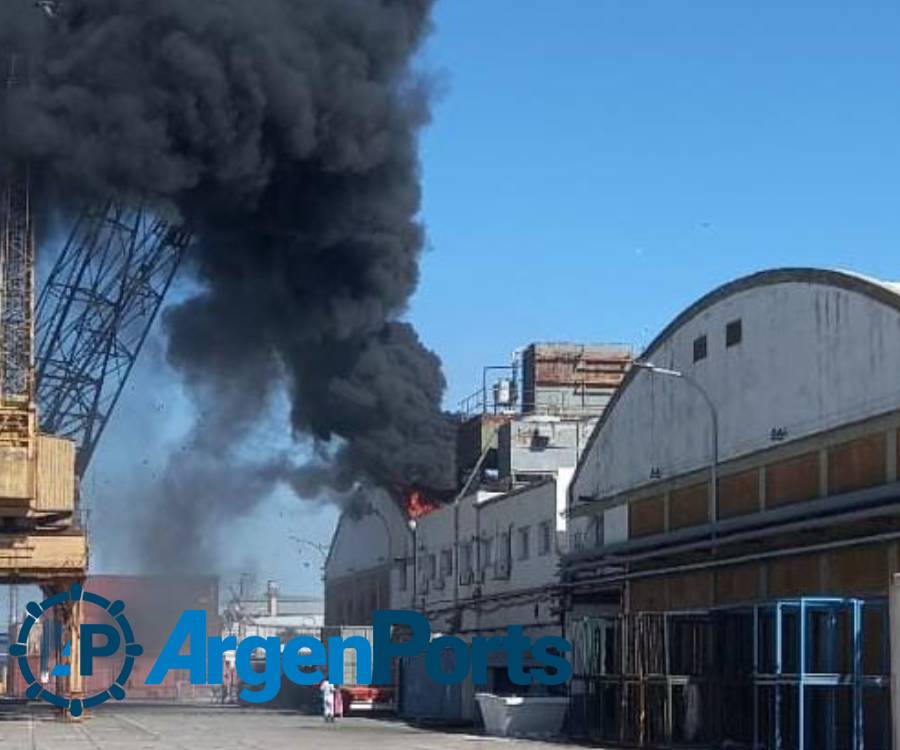 En fotos y video: así fue el incendio que afectó un frigorífico en el puerto de Bahía Blanca