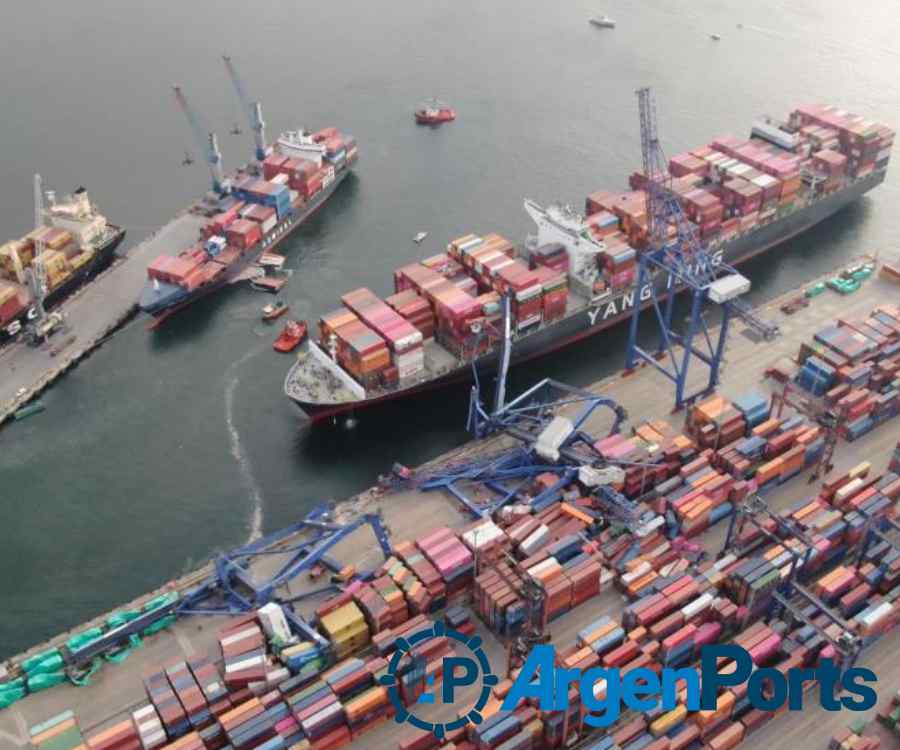 Video y fotos: un buque portacontenedores derriba las grúas del puerto Kocaeli, en Turquía