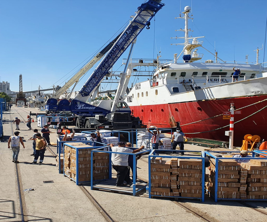 La pesca comienza a ser una opción de peso en el puerto de Bahía Blanca