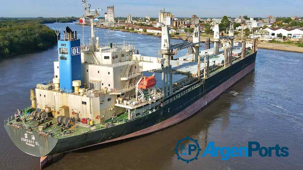 Concepción del Uruguay sigue sumando embarques de madera para la India