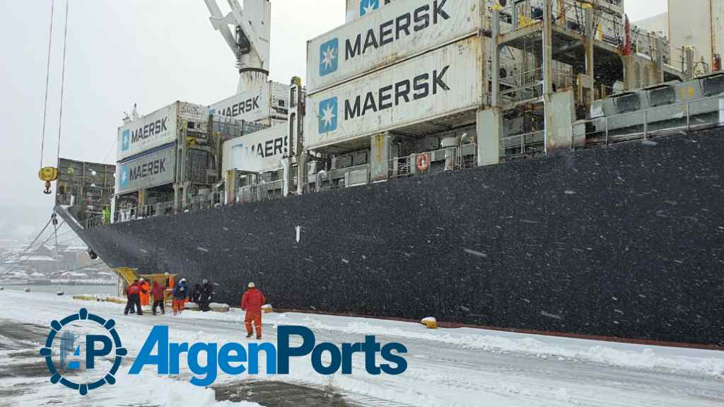 Acciones para recuperar el cabotaje de contenedores en puertos patagónicos