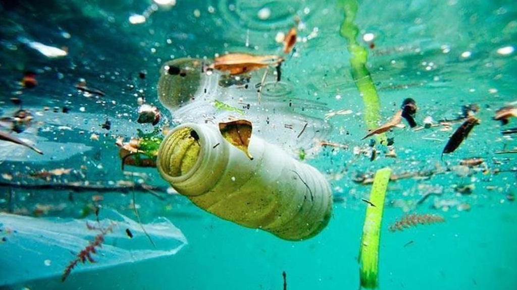 Océanos: Argentina integra una iniciativa mundial para acabar con la basura marina